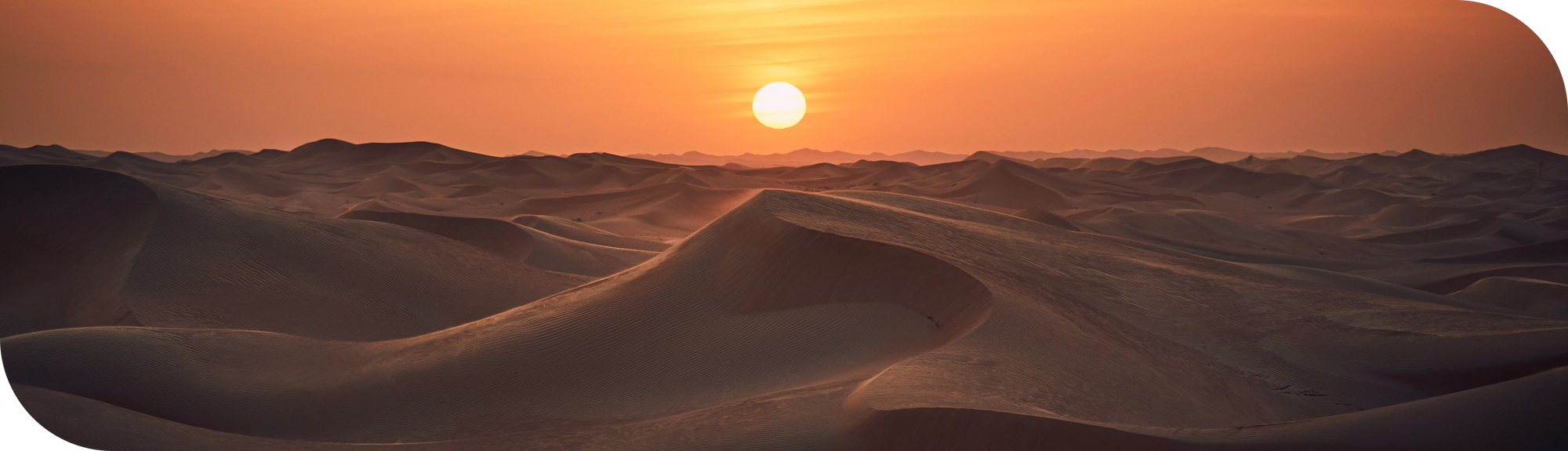 Desert Dawn