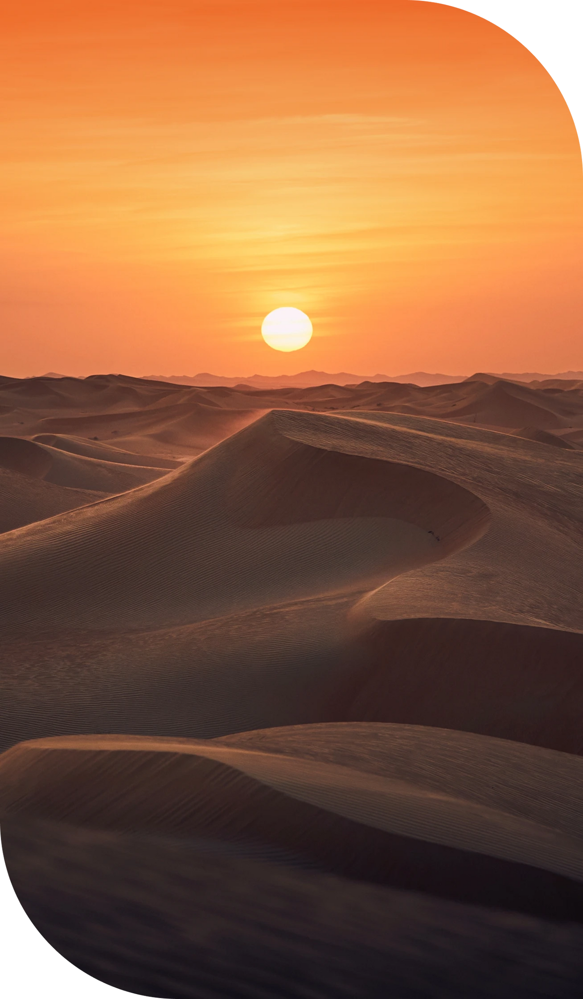 Desert Dawn